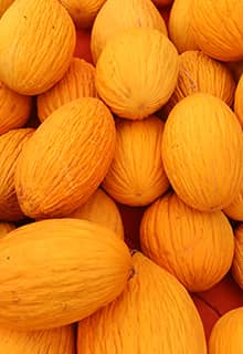 Melon de Kırkağaç 