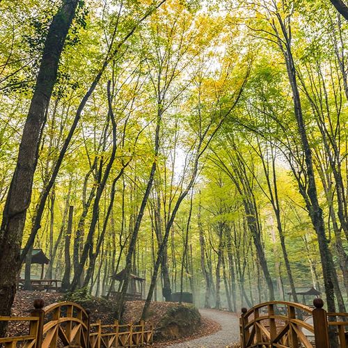 Belgrader Wald in Istanbul