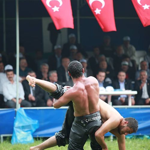 Traditioneller Kırkpınar Yağlı Güreşleri (Kırkpınar-Öl-Ringkampf)