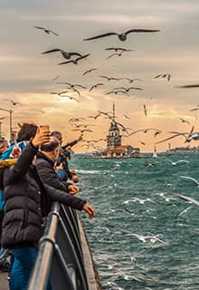 Seagulls Over İstanbul