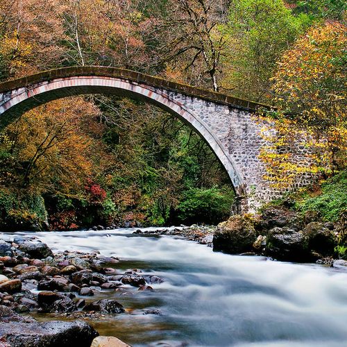 Mikron Bridge