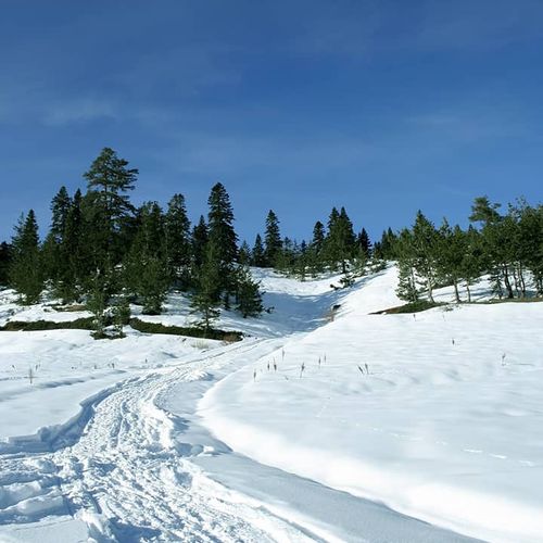 Ilgaz Dağı Kastamonu 