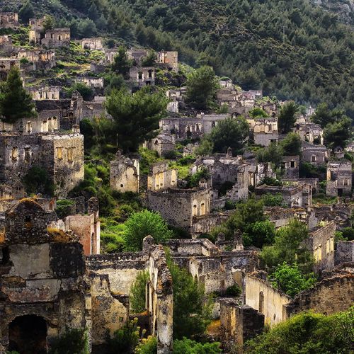 کایاکؤی
