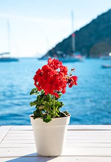 Сардинія (Sardinia)
