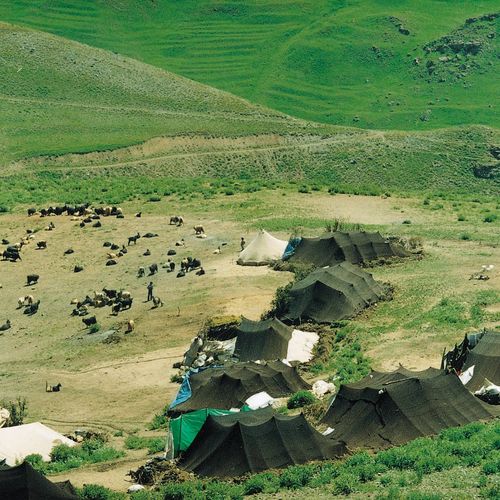 Muş Plain