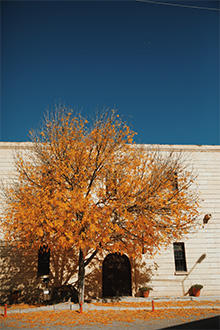 Gallery item 3