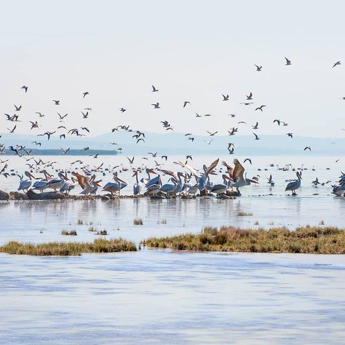 National Park of Bird Paradise