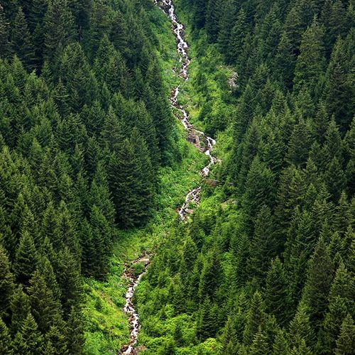  پارک ملی وادی آلتین‌دره ترابزون