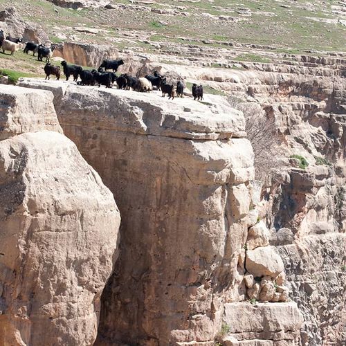 پارک ملی دره بوتان سعرد
