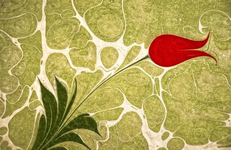 Ebru: Turkish Art of Marbling