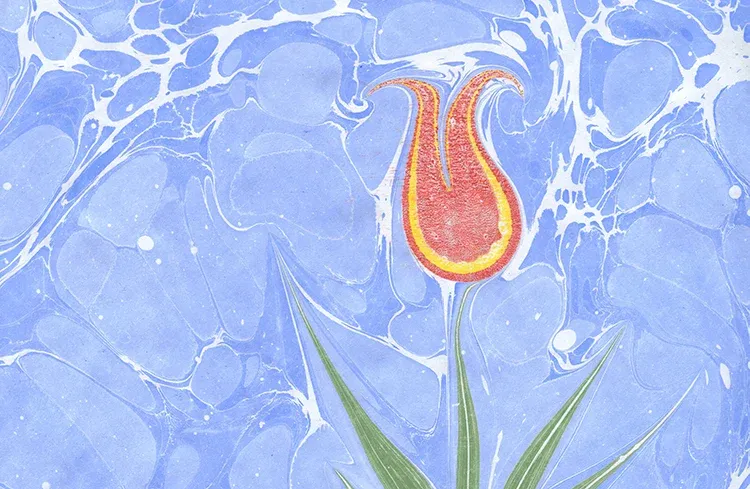 Ebru: Turkish Art of Marbling