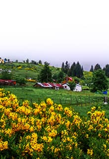 Çambaşı Plateau