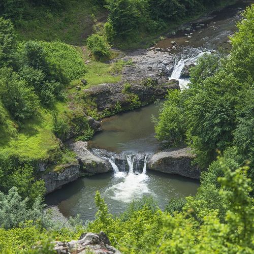 Akkuş