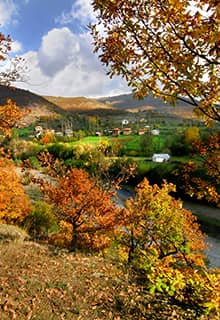 Аккуш (Akkuş)