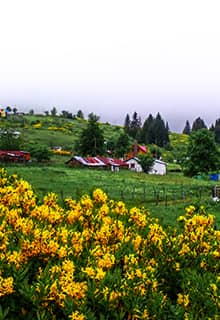 Çambaşı Yaylası