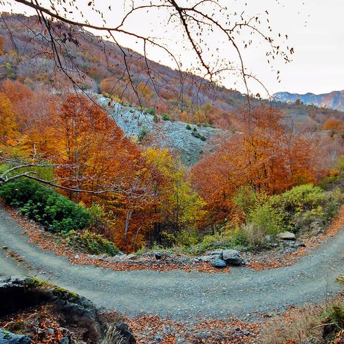 Mesetas Dumanlı