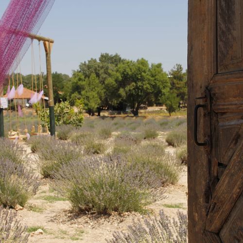 Pamukkale Lavender Gardens