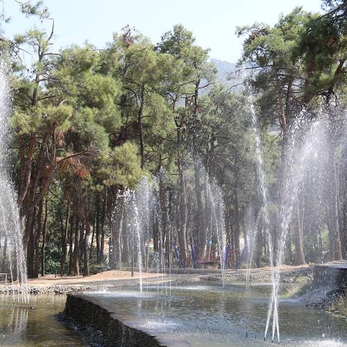 Çamlık Parkı