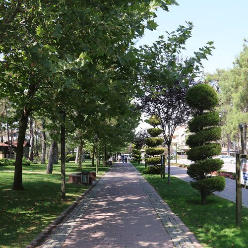 Çamlık（卡米里克） 公园