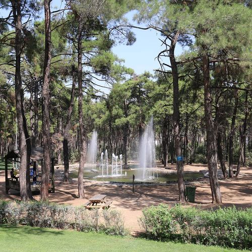 حديقة جامليك