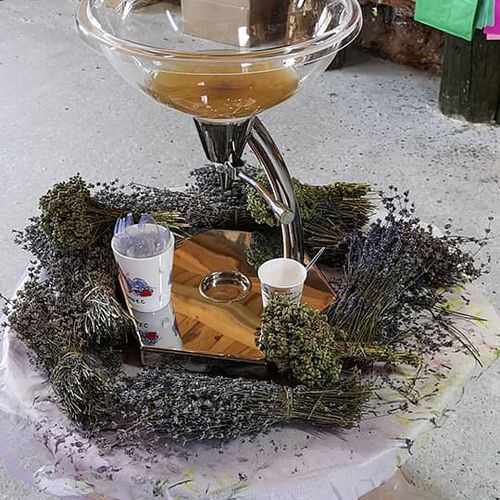 زعتر