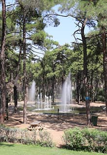 Çamlık-Park