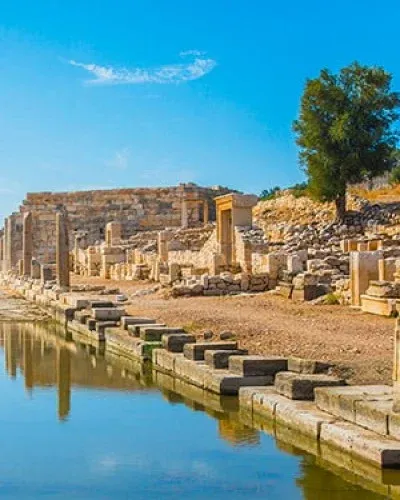 Patara SEO