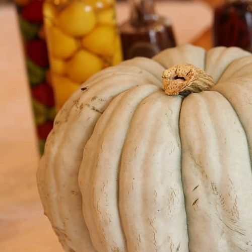 Pumpkin