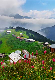 Meseta Pokut