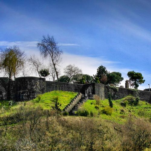 Rize Castle
