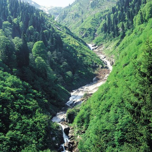 Ayder Plateau
