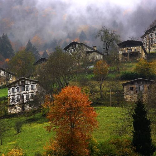 Historical Dereköy Houses