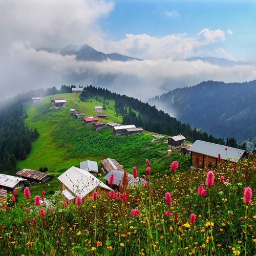 Pokut Plateau