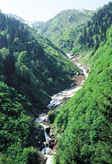 Alpage d’Ayder