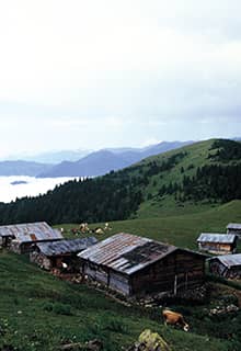 Alpage de Sal