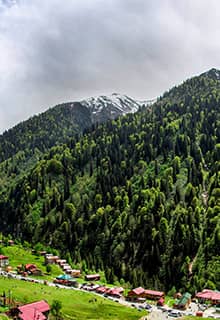 Ayder