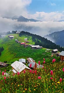 Плато Покут (Pokut)