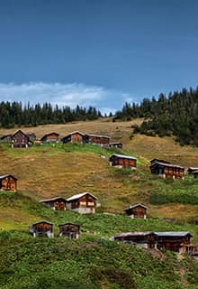 Pokut Plateau