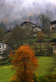 Historical Dereköy Houses
