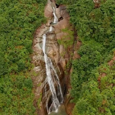 rize0308