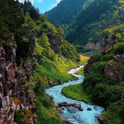 rize2707