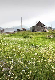 Alpage de Dikmen