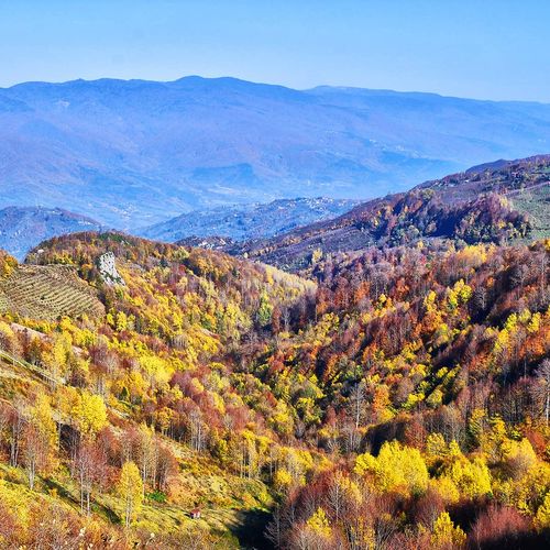 Acelle-Hochland