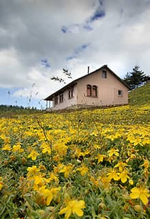Çiğdem Yaylası