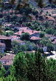Модульные дома Тараклы