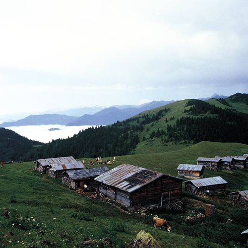 Sal Plateau