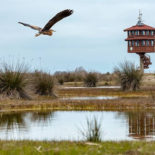 Sanctuaire des Oiseaux