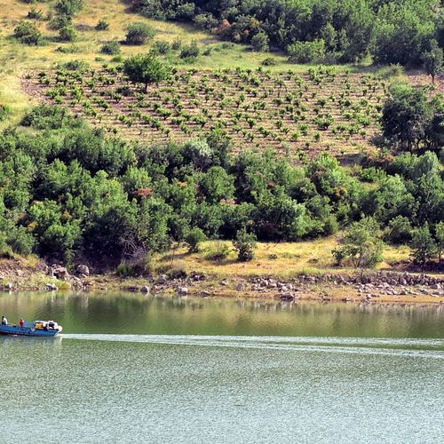 دره تاکوران