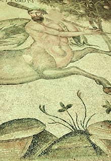 Haleplibahçe Mosaic Museum