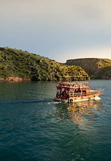 Halfeti